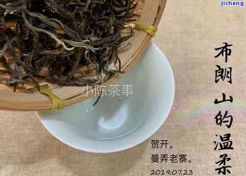 古树白茶是生普还是熟普，解析茶叶品种：古树白茶是属于生普还是熟普？