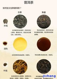 普洱茶的主图视频：一张图熟悉普洱茶及图解