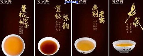 藏岁普洱茶：价格介绍与全面解析