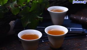 泓山香普洱茶-泓山香普洱茶好喝吗