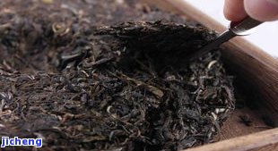 窖藏普洱茶：原理、方法与区别于其他老茶的特性