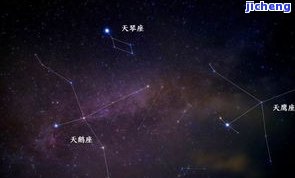 东星斑鉴别，怎样鉴别东星斑：一份全面的指南