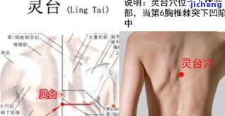 腰牌佩戴位置：最佳实践与图解