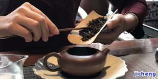 新泡普洱茶怎么泡，新手指南：怎样冲泡新的普洱茶？