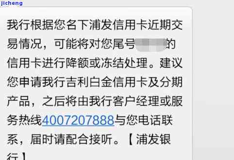 开山派的茶怎么样？口感怎样，值得尝试吗？