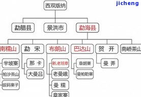 各山头普洱茶的口感特性全解析：特点与生茶口感大汇总