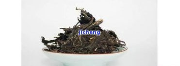 普洱茶子青：口感与古树茶的魅力探究