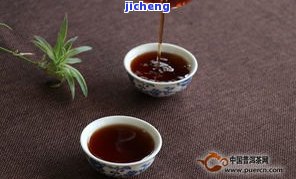 普洱茶周老师：探索普洱茶的大师之路