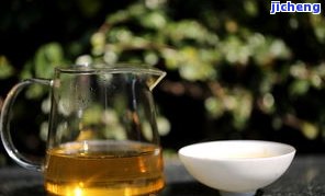 纳罕普洱茶价格，纳罕普洱茶价格一览：深入熟悉这款优质茶叶的市场行情