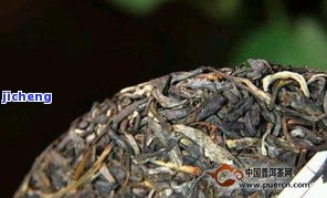 普洱茶源地名-普洱茶源地名由来