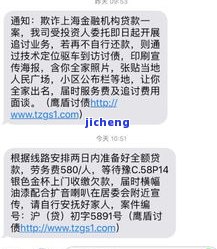 拍拍贷欠二万逾期-拍拍贷欠二万逾期会怎么样