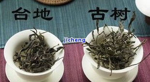 老普洱茶好吗-老普洱茶好吗值得买吗