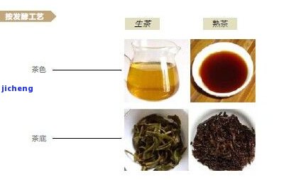 探究生普洱茶种类：深入熟悉其多种类型与分类