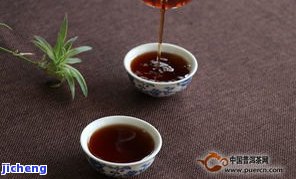 探索雀系列普洱茶：特性、品种与评价