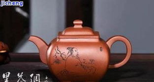 清水泥普洱茶-清水泥普洱茶怎么泡