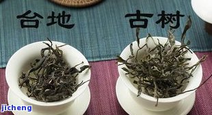 普洱茶胶质感是什么意思，解密普洱茶的胶质感：何谓其口感特征？