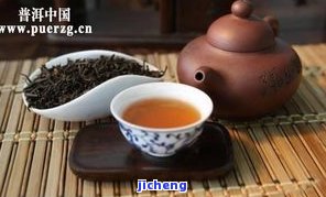 深入理解普洱茶理论：全面详尽的知识详解