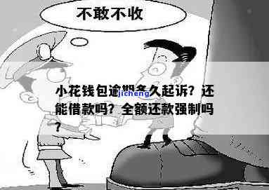 小花钱包逾期多久会强制性要求全额还款？这是真的吗？安全吗？