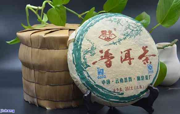 瓷泡什么茶好喝又健？精选茶叶搭配技巧与图片展示