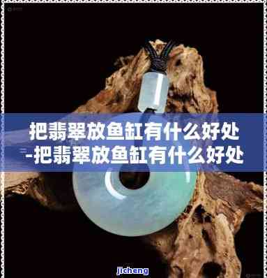 翡翠可以放鱼缸里养吗视频，揭秘翡翠与鱼的奇妙组合：翡翠是不是适合放入鱼缸中养殖？看视频揭晓！