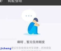 花呗逾期要怎么还钱，花呗逾期还款指南：如何及时偿还欠款？