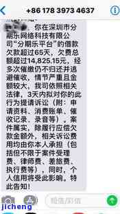 分期乐逾期部分已还清，是否会被起诉？剩余欠款可以分期还吗？还能再次借款吗？