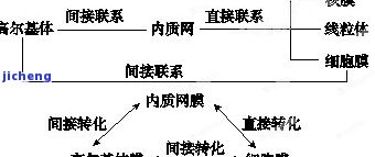 阿拉善的功效与作用点，探究阿拉善的神奇功效与作用点