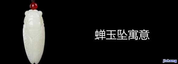 蚕蛹玉器啥寓意？探讨其象征意义与文化内涵