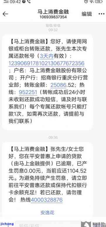 安逸花提示有逾期-安逸花逾期上征信了 但是征信上显示逾期 这样算黑了吗