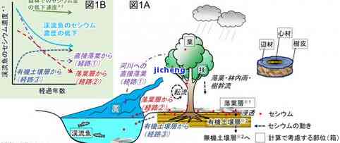 手串有个放射性物质吗-手串有个放射性物质吗图片