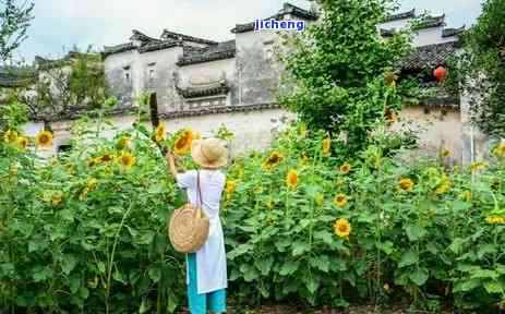 安逸花期算逾期-安逸花期还款上征信吗