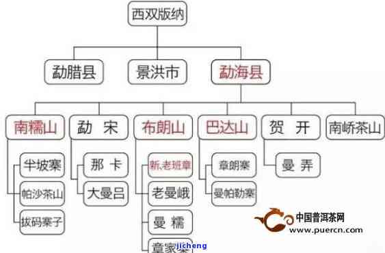 新疆普洱茶王是谁，揭秘：谁是被誉为'新疆普洱茶王'的人物？