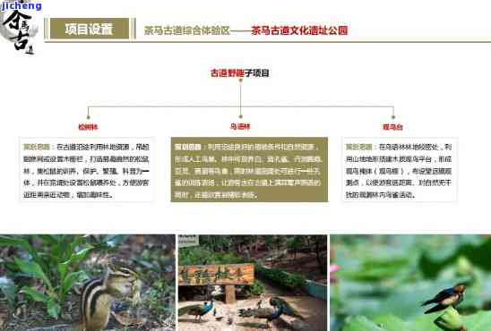 深度探索：以普洱茶文化为主题的旅游线路设计方案