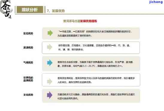 深度探索：以普洱茶文化为主题的旅游线路设计方案