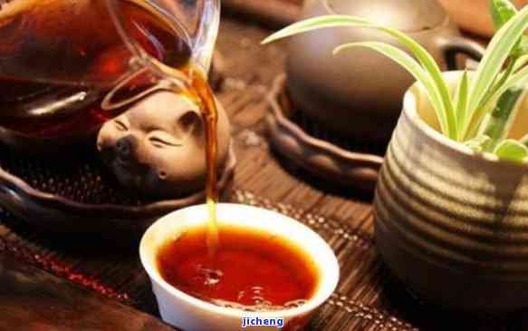 专业普洱茶茶仓，打造完美茶叶存环境：专业普洱茶茶仓的采用与维护