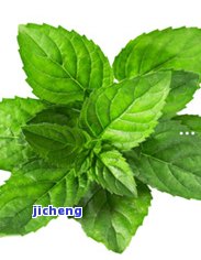 深圳普洱茶柱-深圳普洱茶柱厂家