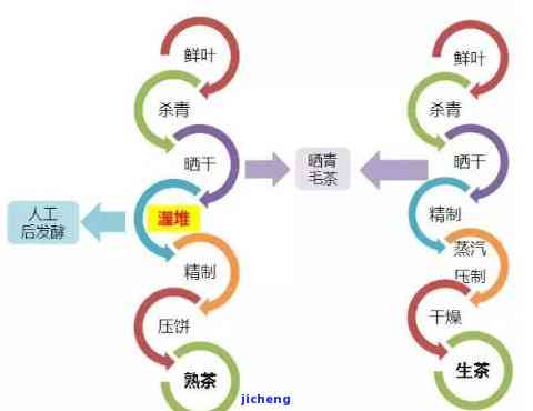 安溪卖普洱茶的地方，探寻安溪的普洱茶市场：哪里是的购买地点？