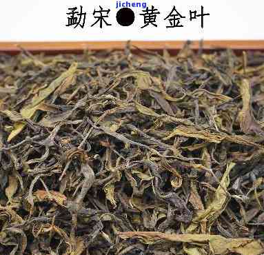 黄金普洱茶叶图片 了解黄金普洱茶的功效与区别