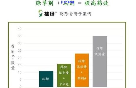 斟茶人普洱茶价格及图片大全，熟悉最新市场行情与斟茶记价格比较