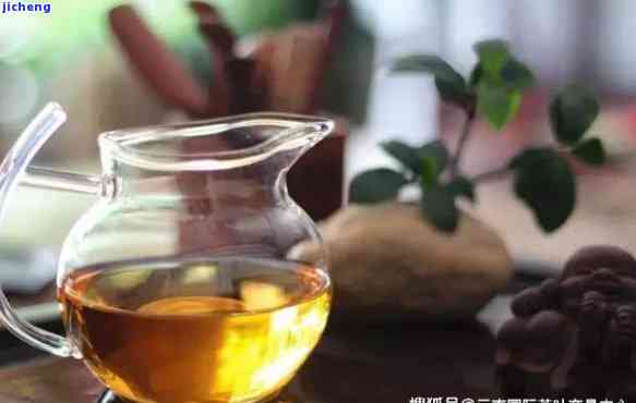 斟茶人普洱茶价格及图片大全，熟悉最新市场行情与斟茶记价格比较