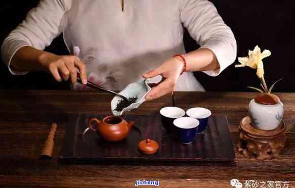 斟茶人普洱茶私房茶：视频教学与价格一览