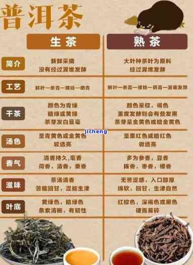 普洱茶资讯：最新新闻与网站全览