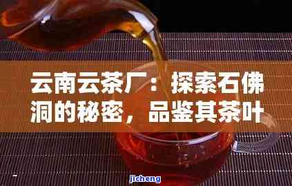 石佛洞茶厂普洱茶怎么样？口感怎样，官网信息全览