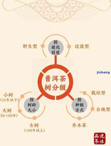 普洱茶的醇：含义、分类与等级解析