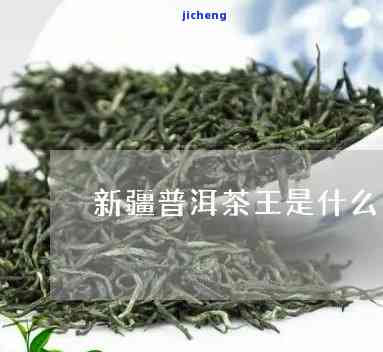 新疆普洱茶王-新疆普洱茶王是谁