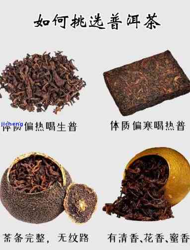 普洱茶紫茶：功效、作用全面解析