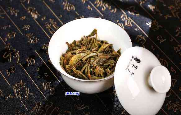 青普洱茶品尝-普洱茶青普是什么意思