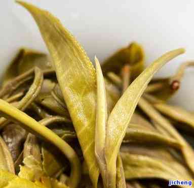 优质奖普洱茶-2020年获奖普洱茶