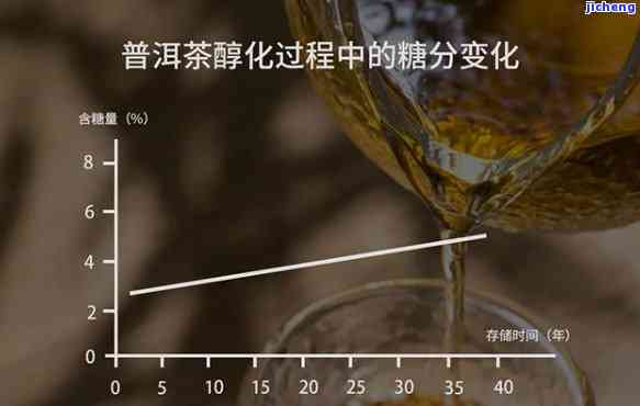 普洱茶的酶促氧化：原理与作用因素解析