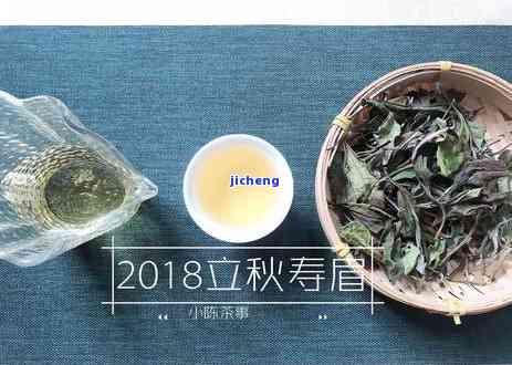 普洱茶用什么存放？全攻略告诉你！